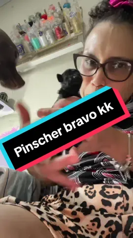 #pinscherbrasil #pinschermini #pinscher #rozipinscher #rozipinscherminiaturas #dicasderozipinscher #rozipinscherminiaturas #dicasderozipinscher #filhote #pinscher #bravo #pinschermini #filhote 