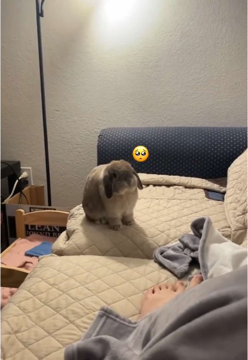 if u let him stay he'll never leave