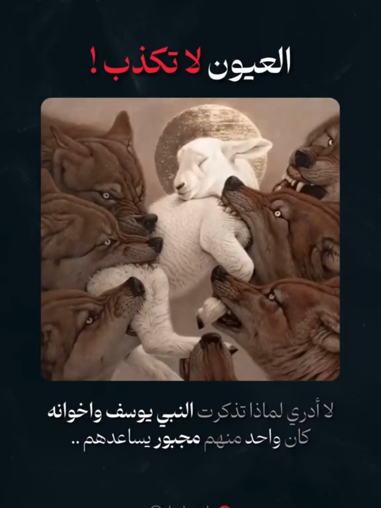 العيون لا تكذب 💯 #مشاعر #ثقة #خيانة #حب #حزين #غدر #fyp #foryourepage 