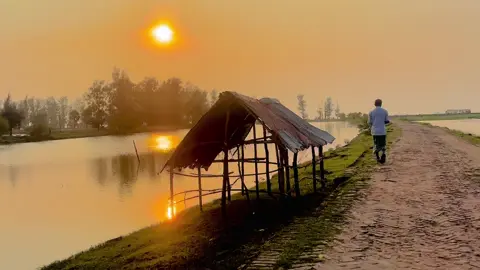 #fypシ #fyf #foryou #foryoupage #unfrezzmyaccount #throughsadimseyes #photography #nature 