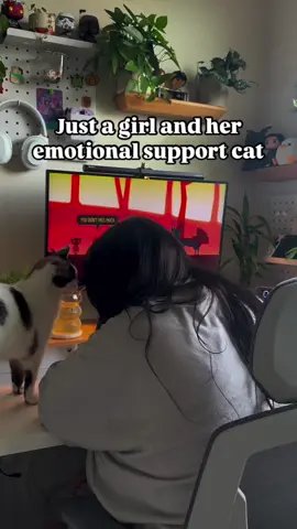 Shes just the sweetest 🥹🤍 #cozygamer #cozydesksetup #catsoftiktok #cat #GamingSetup 