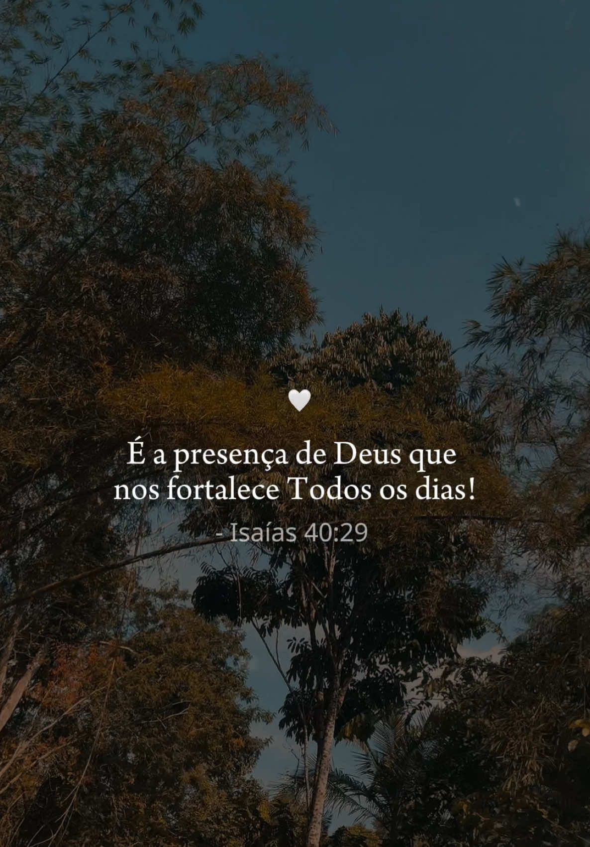 #CapCutMotivacional #gratidaoadeusportudo #frase #deus 