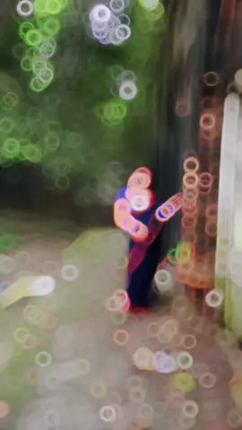 আমার প্রিয় শাড়ি 😫🩵#aiyerajannat #foryoupage 