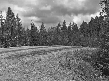 Pretty race girl #retro #rally #wrc #toyota #edits 