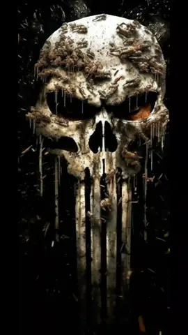 #CapCut #thepunisher #elcastigador #