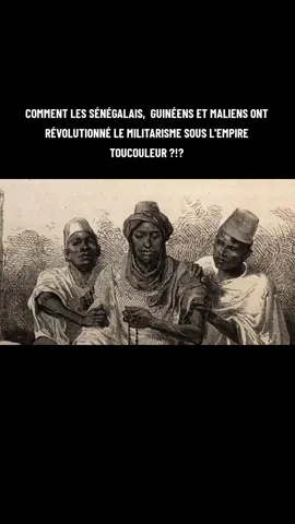 L'INGÉNIEURERIE TOUCOULEUR ! #senegal #toucouleur #mali #guinée #trinitedumafe #🇬🇳🇲🇱🇸🇳 #🇸🇳 #🇬🇳 #🇲🇱 #westaf #afriquedelouest🇲🇱🇸🇳🇬🇳 