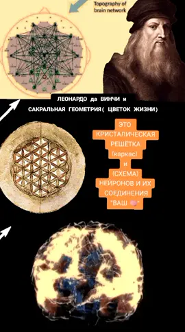 #леонардо #давинчи#сакраменто #сакральныезнания #геометрия #цветокжизни #цветок#мозг#нейроны #нейросеть #нейрографика #🧠#сеть#web#networking #network #net#brain#neuron#neuroscience #graphicdesign #floweroflife #flower#davinci #leonardo #sacramento #sacral#sacrum#head#geometry #голова#mistery #secret #тайна#свет#lux#luxury #🌞#🌷#💡#light#освещение #просветление #💯#☝️#👍#🙏🏻#наука #наукадлявсех #исследования #открытие#загадка #раскрытие#сравнение 