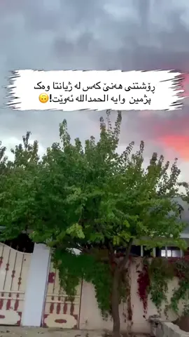 ڕۆشتنی هەنێ کەس لە ژیانتا وەک پژمین  وایە الحمداللە ئەوێت!🙃#hawler_slemani_dhok_karkuk_hallabja #foryoupage #kurdistan 