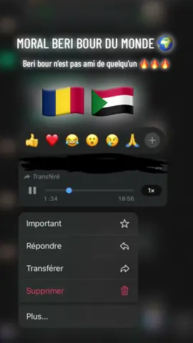 #adonnetoi #tchad🇹🇩 #soudan🇸🇩 #viraltiktok 