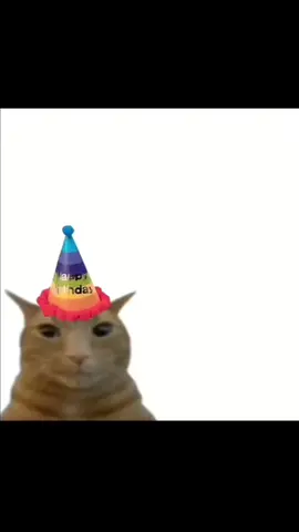 || happy birthday || #cat #silly #happy #birthday #happybirthday #hat #cars 
