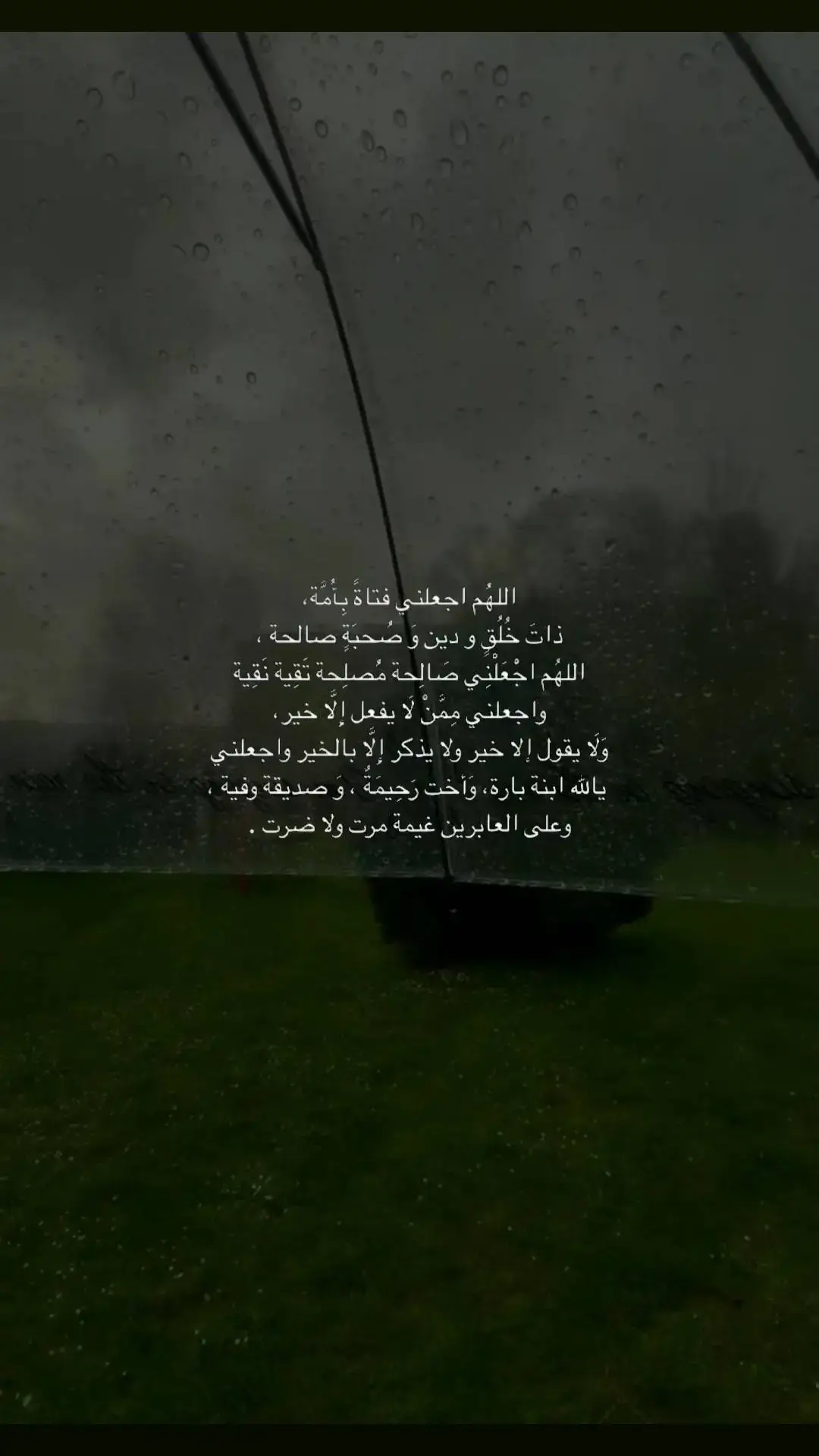 #اكسبلورexplore