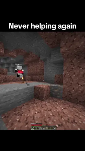 Minecraft Moment #Minecraft #foryoupage #fyp #foryou #minecraftmoment 