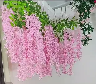 Cành hoa tử đằng nhiều màu sắc trang trí nhà cửa #trangtrinhacua #binhhoadeban #giohoatreotuong #chundecor #xuhuongtiktok #hoaluacaocap 