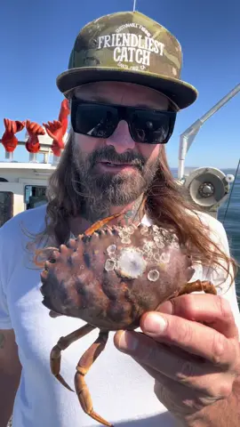 Calling All Barnacle Chronicles Detectives #crab #barnaclechronicles #crabs #friendliestcatch #rockhold #deepseacreatures #bigfish 