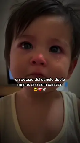 LA NETA🥺❤️‍🩹🕊️ #grupoarriesgado #viral #ansiedad #fyp #fypシ゚viral #CapCut 