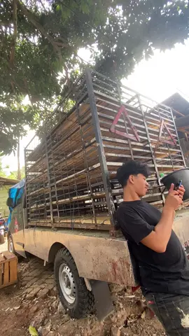 Pesona penjual ayam😻#pekerjakeras #foryoupage #penjualayampotong #zbyzca #fyppppppppppppppppppppppp 