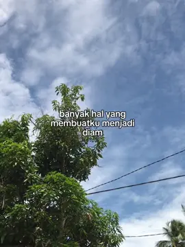 #essay#templatecapcut 