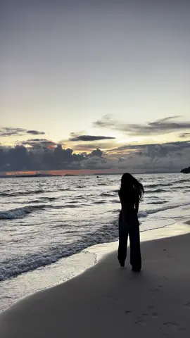 ✨🌊🌴