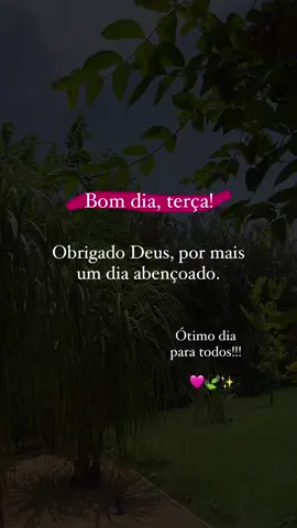 🩷🍃✨#bomdiaaa #semanaabençoada #tercafeira #statusparawhatsapp 