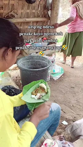 mosok sek kurang penak nyawang?  #fyp #petani #petanimuda #petanimilenial #petanisukses #petaniindonesia🇮🇩🇮🇩🇮🇩🌿🌿 #cabai #ponorogo_kota_reog 