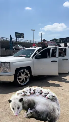Puro Tacuache Cuh!!  HoustonDroppedTrucks!!  #fyp #fypage #foryoupage #viral #houston #houstondroppedtrucks #texas #trending #trokiando #bagged #slammedtrucks #trokiandocuh #suelo #suelomob #obstruck #cammedtrucks #explore #teambillet #trucking #lowtrucks #cuh #cuhh #houston 