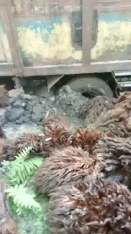 pantek baru aja satu trip dah laka #jangkosbalap #ikuttrend  #napastuajiwamuda🤙 