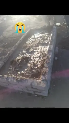 tombstone are going to open at 2november 2024🙏it's that clear my people 😥