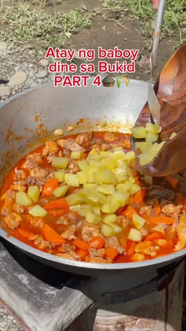 Nagluto kami ng Atay ng Baboy dine sa bukid🛖🌾 Last Part