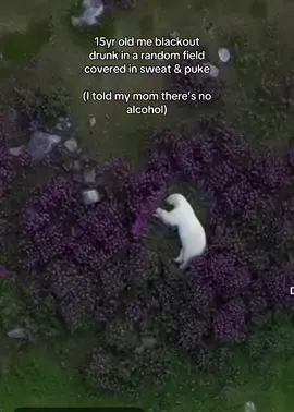 Good times. #fyp #truthbetold #viral #drunktok #partytime 