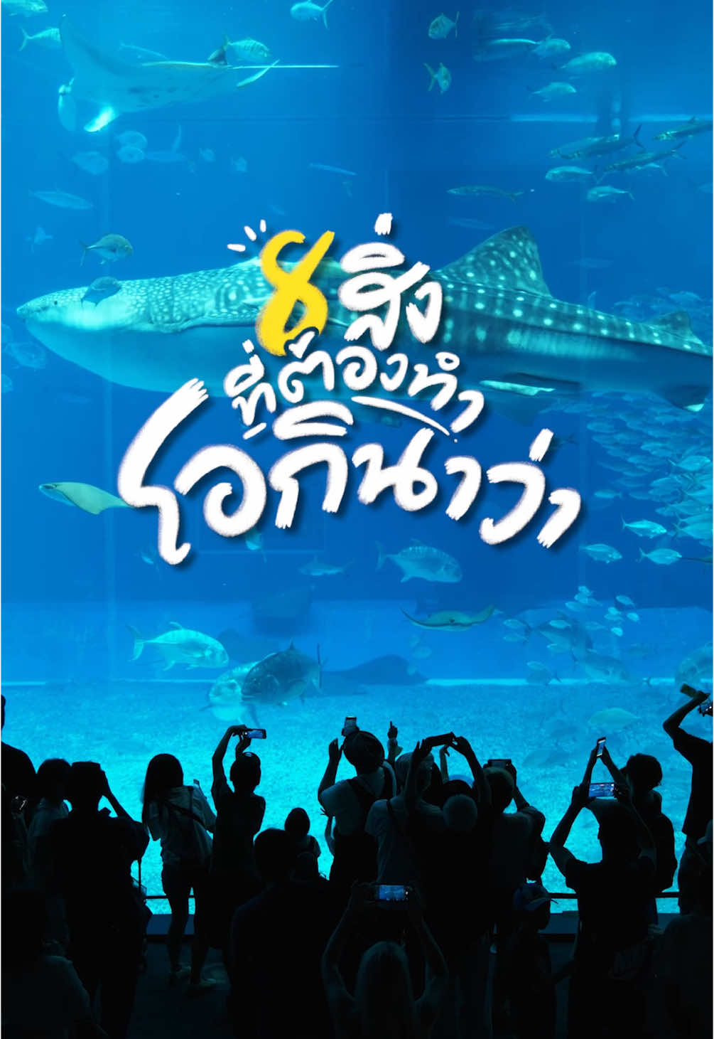 แนะนำ 8 สิ่งที่ต้องทำเมื่อมา Okinawa  🐋🇯🇵 #gowentgo #tiktokพาเที่ยว #okinawa #โอกินาว่า #เที่ยวญี่ปุ่น 