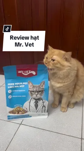Dòng hạt NGON - BỔ - RẺ dành cho mèo cưng 🐱 #petour #mrvet 