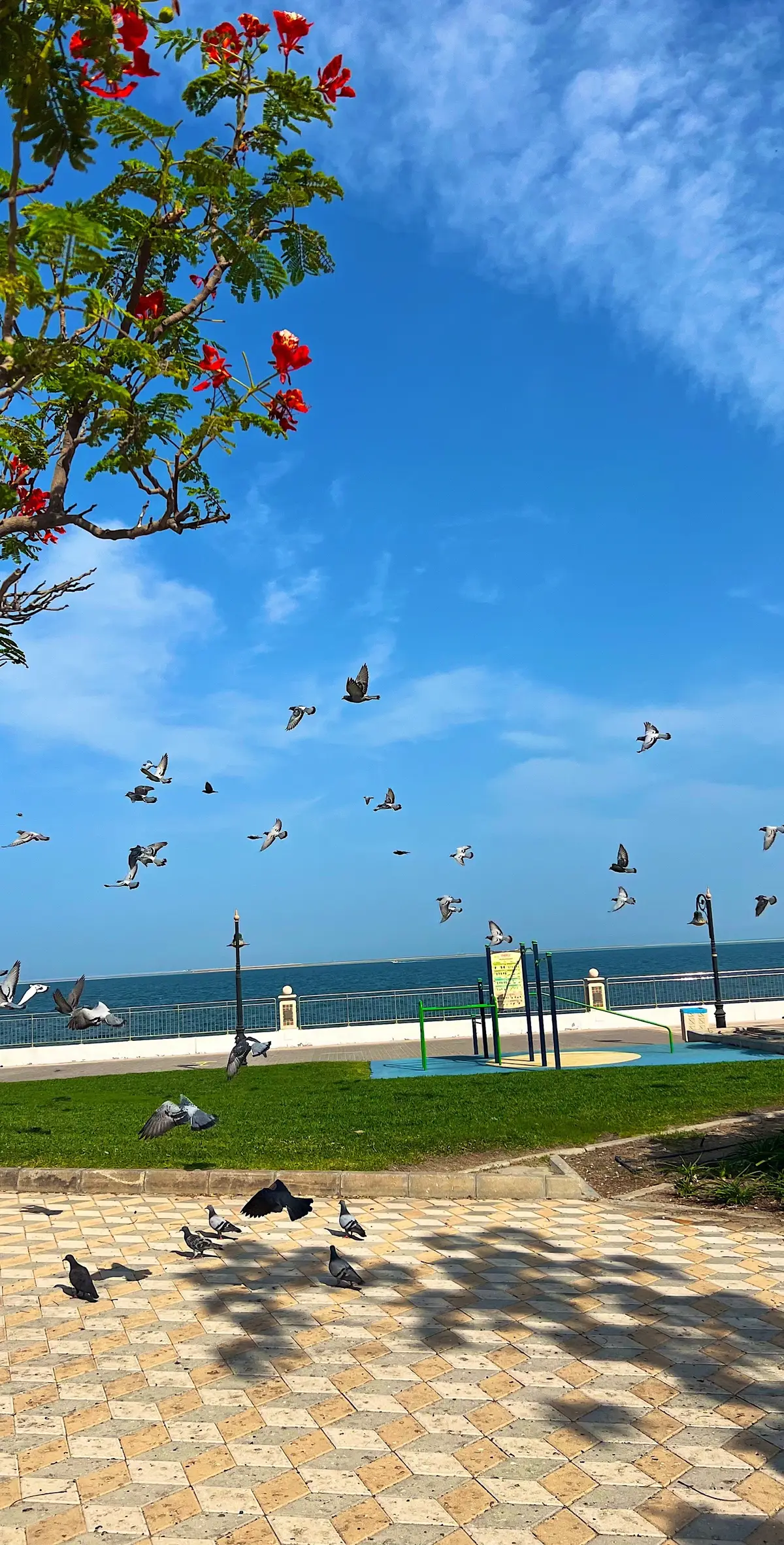 #الجبيل #تصويري #محمد_فطيس 