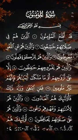 سورة المؤمنون مكتوبة كاملة بصوت خاشع ومؤثر #ماهرالمعيقلي #القرآن_الكريم_ترند #خاشع_ومؤثر #سورةالمؤمنون #نفع_الله_بكم_الاسلام #المؤمنون_بالله_وحده #حافظواعلى_الصلاة #لاتكفروا_بالله #صلوا_على_خير_البشر_تغنموا 