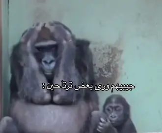 #اكسبلورexplore #fypシ #foryou #الشعب_الصيني_ماله_حل😂😂 