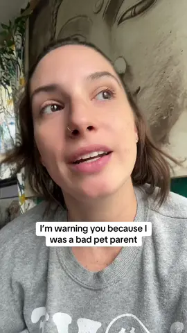 Save your pet from infections in their mouths #pets #dogsoftiktok #catsoftiktok 