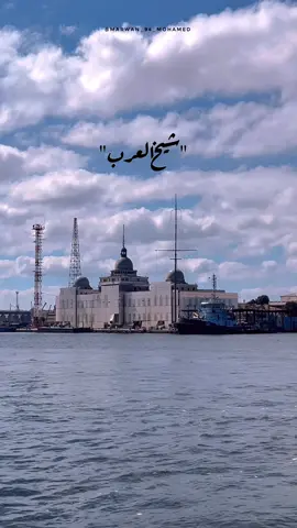 @Marwan Mohamed 🖤شيخ العرب #عمرو_دياب #عم_الطبيب #الهضبه #عمرودياب #الهضبة #بورسعيد #الهضبه_عمرو_دياب #عمرو_دياب_قديم #الهضبة_عمرو_دياااب #بور_سعيد #المعديه #عمرودياب_احلي_كوبليه #amrdiab #amr_diab #amr_diab_legend 