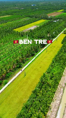 Chào mừng mọi người đến với Xứ dừa Bến Tre #travel #traveltiktok #dulichvietnam #travelvietnam #bentre #71bentre #bentre71 