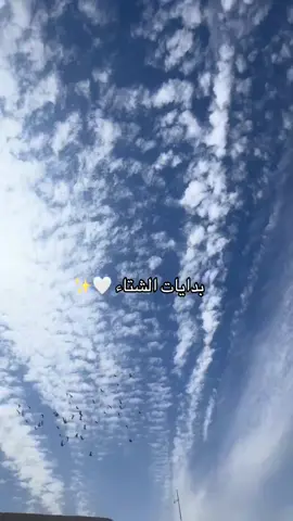 ناقصها مطر و عطلــة 🥹❤