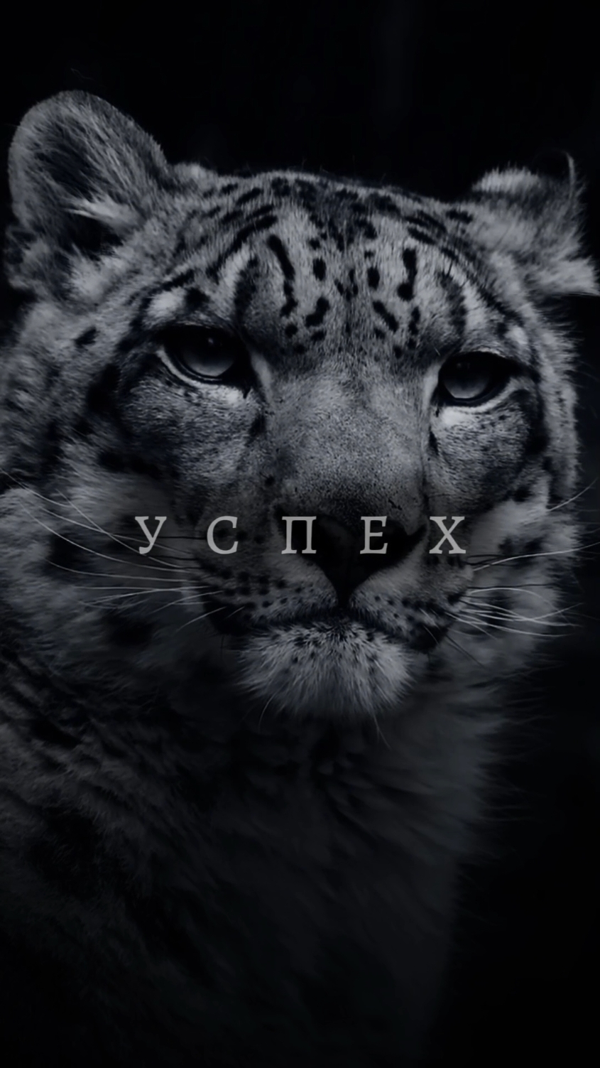 «Одно простое правило..» Tg в шапке профиля 💎  #motivation #мотивация #саморазвитие #жизнь #психология #мудрость #успех #цитаты 