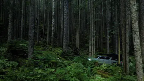 Camping in the forest #photography #cinematography #camping 