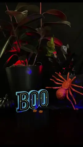 shop spooky plants! #boo #bloomscape #houseplants 