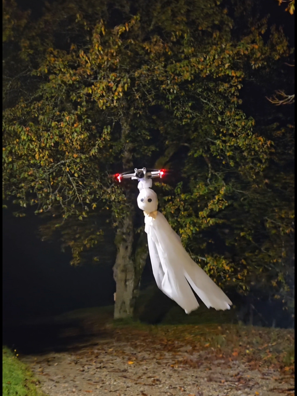 Ready for Halloween 👻🛰🎃 #Halloween #dji #drone  #spookyseason #spooky #funnyvideo #fyp #justforfun 