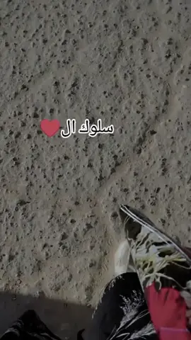 سلوك القلب ❤😇..  #شمدريني_بس_هــيـــــــٓــج♥🙂 #تل_ابيض_رأس_العين_سلوك 