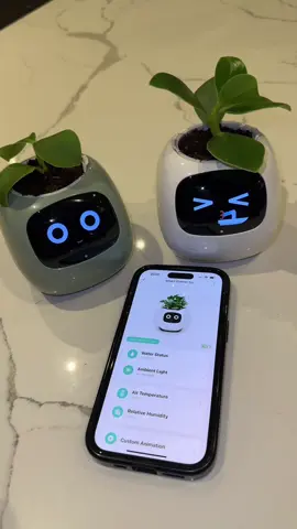 ASMR Plant-a-gotchi smart planter unboxing and set up! 🤩🌱💦👾 #fyp #foryoupage #ceoofmining #asmr #soundup #satisfying #plant #Tech #technology #plants #planttech #unboxing #techunboxing #rubberplant #houseplant #athome #viral #green #tamagotchi #plantagotchi 