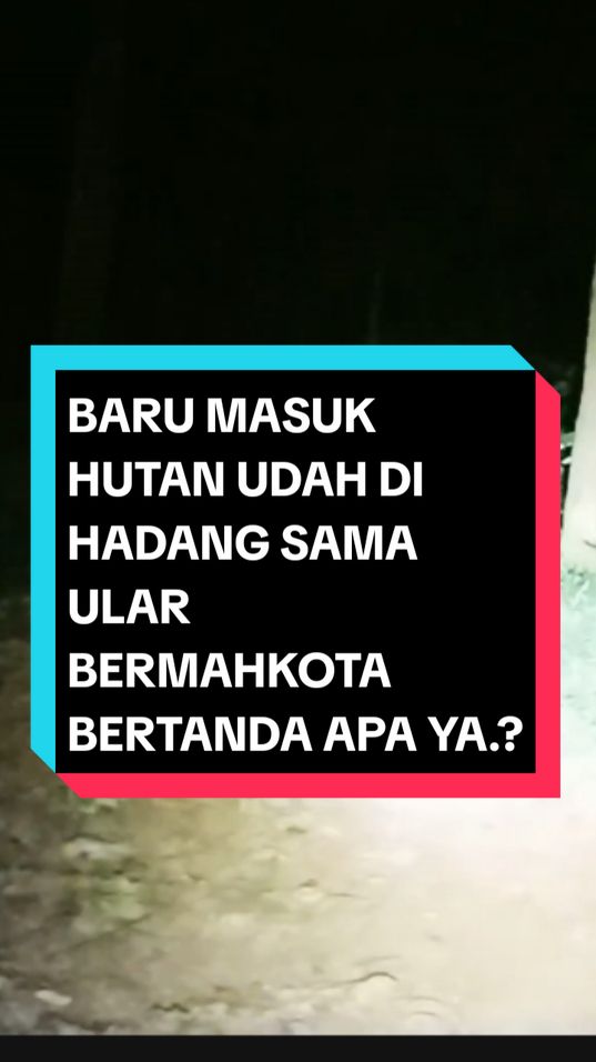 pertanda apa ini ya#hiburansemata #hiburan #foryou #fypシ゚viral #fypage #viralvideo #viraltiktok #fyp #fypシ゚ #fypシ゚ #fypdong #fypgakni #fypシ゚viral🖤tiktok 