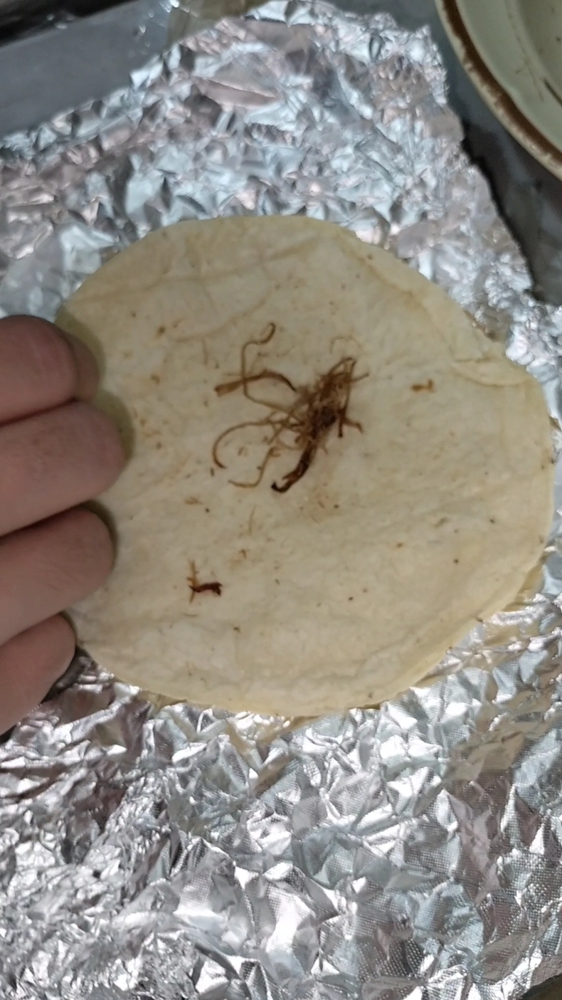 tacos de machaca #laplebi 