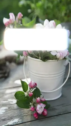 #ستوريات #حالات_واتس #دعاء #دعاء_يريح_القلوب #صباح_الخير 