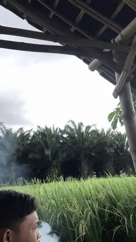 #CapCut #fypシ゚viral #fypシ゚viral #fypシ゚viral #fypシ゚viral #femasoki✨ 