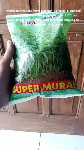benih kangkung super murah #benihkangkungsupermurah #benihkangkung #benihkangkungsuper #bibitkangkung #kangkung #kangkunghidroponik #kangkungviral #cuantanpabatas 