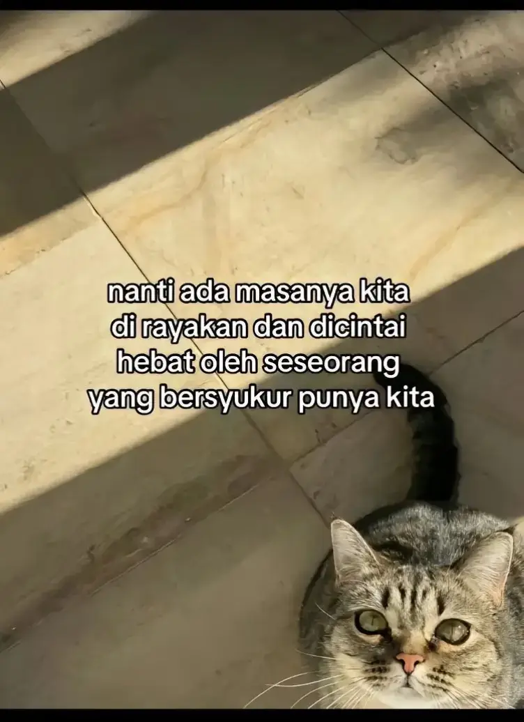 🤷 #palembangpride  #fyp 